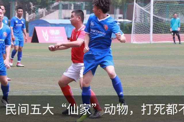 民间五大“仙家”动物，打死都不能吃！看看你无意中吃过几种？